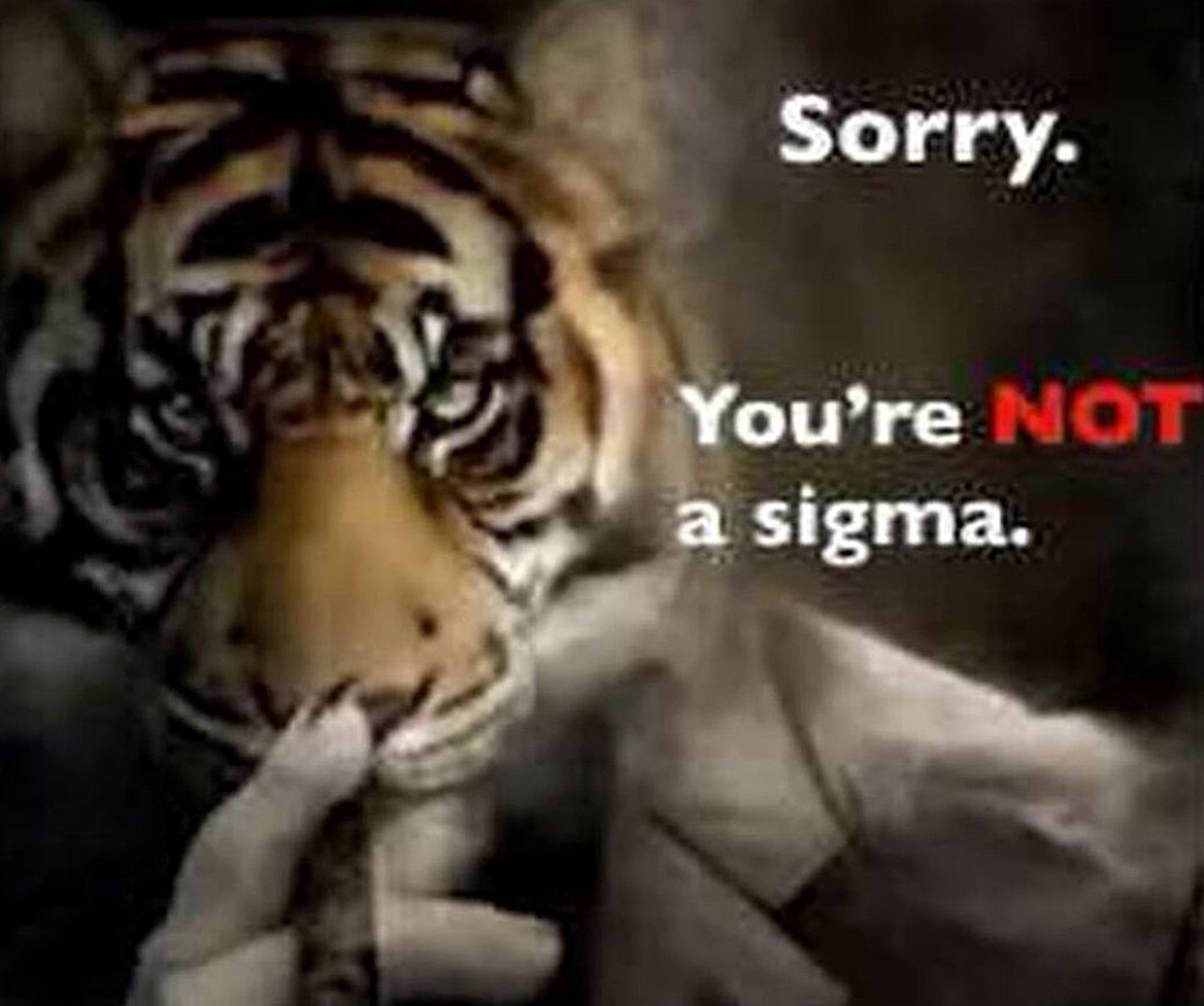 Sorry, you're NOT a sigma Мем с тигром, который говорит «Sorry, you're NOT a sigma»