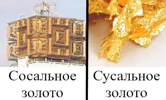 Сосальное золото и сусальное золото Сосальное золото и сусальное золото, игра слов