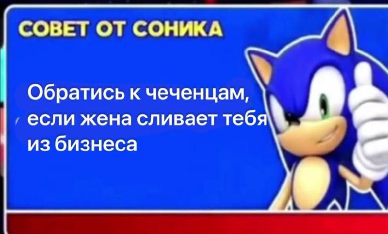 Совет от Соника обратиться к чеченцам Совет от Соника: Обратись к чеченцам, если жена сливает тебя из бизнеса