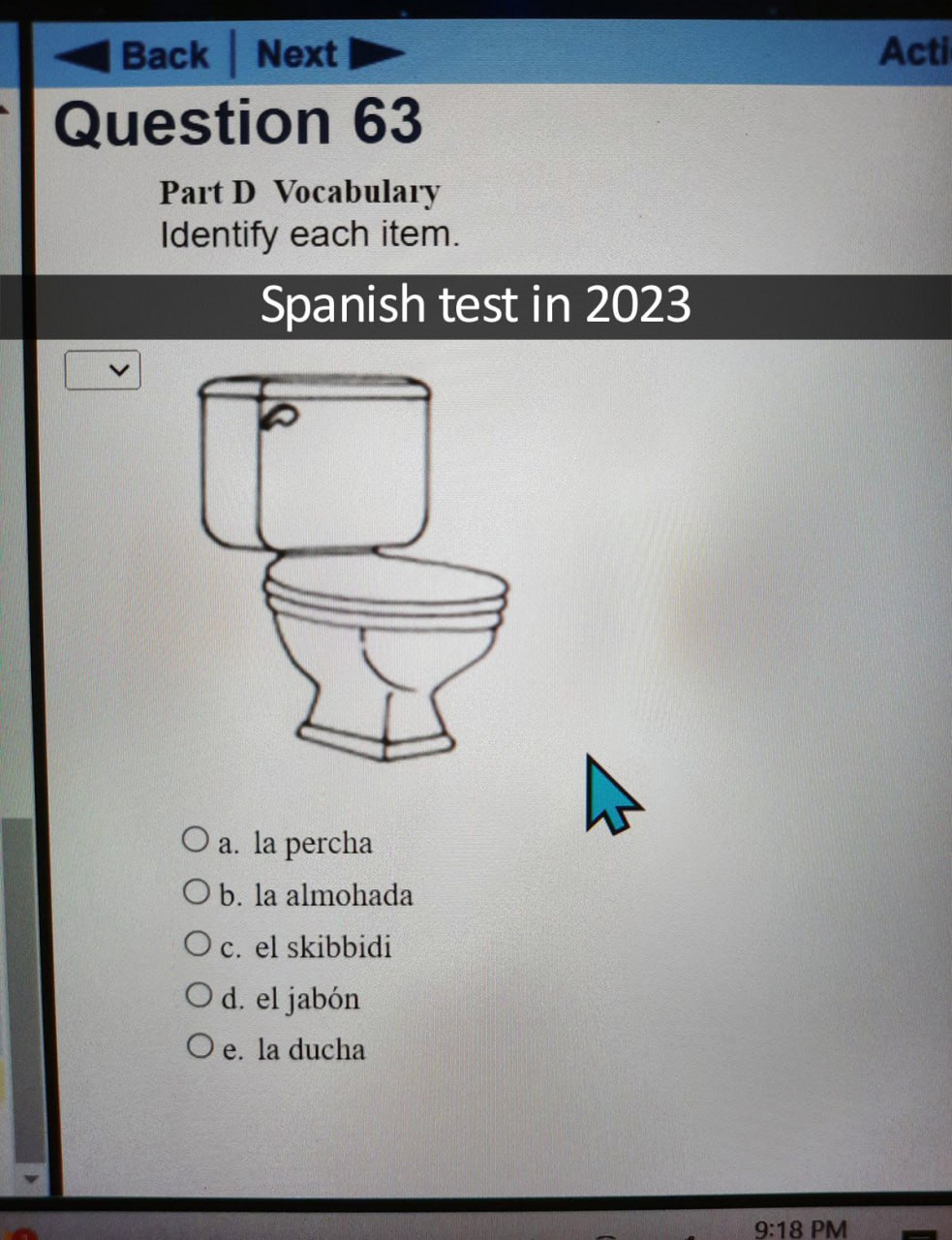 Spanish test in 2023 el skibbidi Тест по испанскому языку в 2023 году с вариантом ответа el skibbidi на вопрос об унитазе