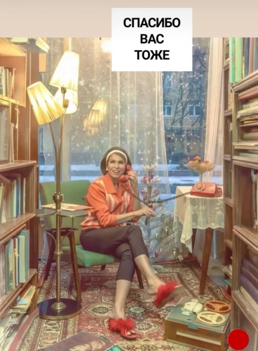 Спасибо вас тоже Мем с женщиной, сидящей в кресле в окружении книг, отвечающей на звонок и говорящей «Спасибо вас тоже» на фоне заснеженного окна.