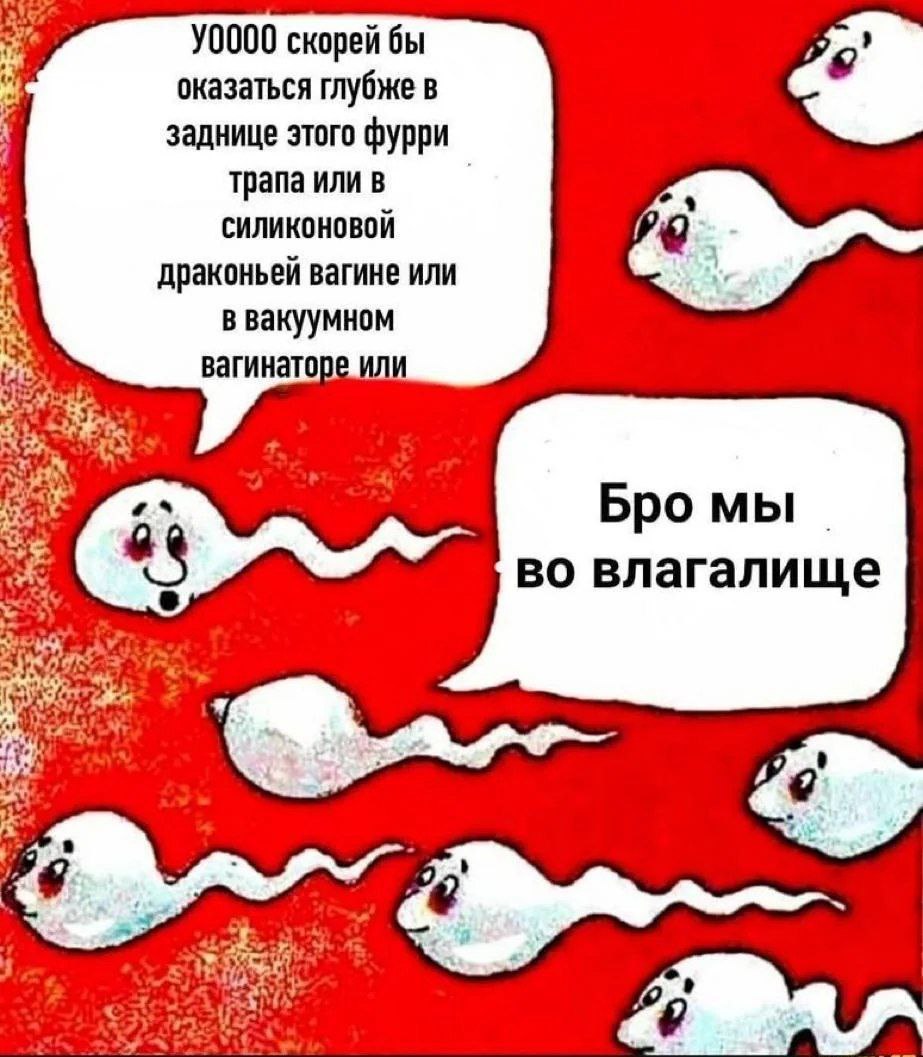 Сперматозоиды "Бро мы во влагалище" Мем со сперматозоидами, где один из них мечтает о чем-то необычном, а другой приземляет его, говоря "Бро мы во влагалище".