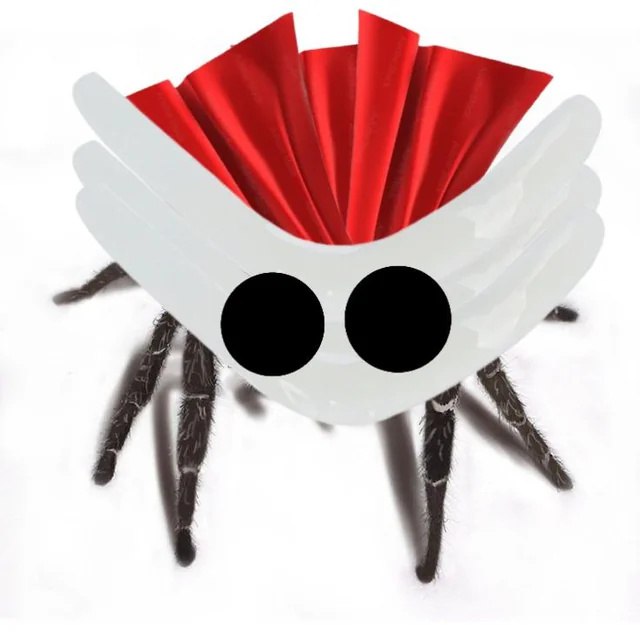 Паук-птицеед в шлеме Хорнет из Hollow Knight