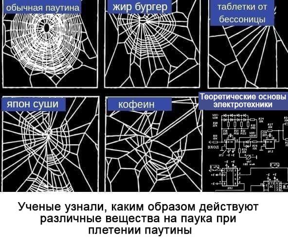 Паутина под различными веществами и электротехника Мем с картинками паутины, сплетенной пауком под воздействием различных веществ, и схемой электротехники