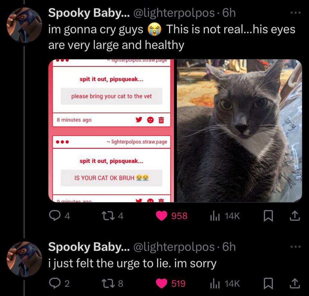 Spit it out, pipsqueak. Is your cat ok bruh? Мем с котом, у которого странные глаза, где люди спрашивают, в порядке ли кот, а затем автор поста пишет, что соврал про состояние кота.