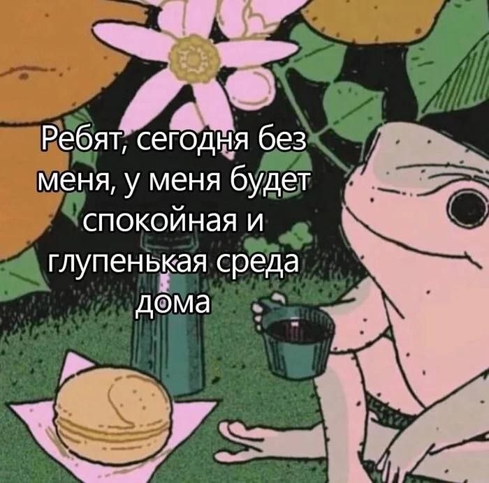 Спокойная и глупенькая среда дома Мем про спокойную и глупенькую среду дома с лягушкой и печеньем
