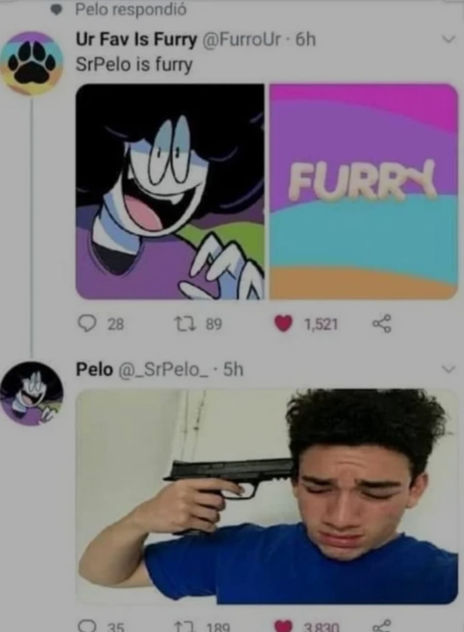 SrPelo is furry Мем с человеком, который приставляет пистолет к голове после того, как его назвали фурри, и он расстраивается.