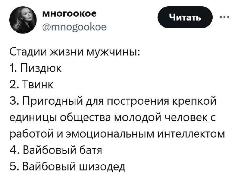 Стадии жизни мужчины Твит о стадиях жизни мужчины: пиздюк, твинк, пригодный для построения крепкой единицы общества молодой человек с работой и эмоциональным интеллектом, вайбовый батя, вайбовый шизодед