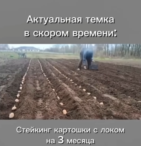 Стейкинг картошки с локом на 3 месяца Стейкинг картошки с локом на 3 месяца, актуальная темка