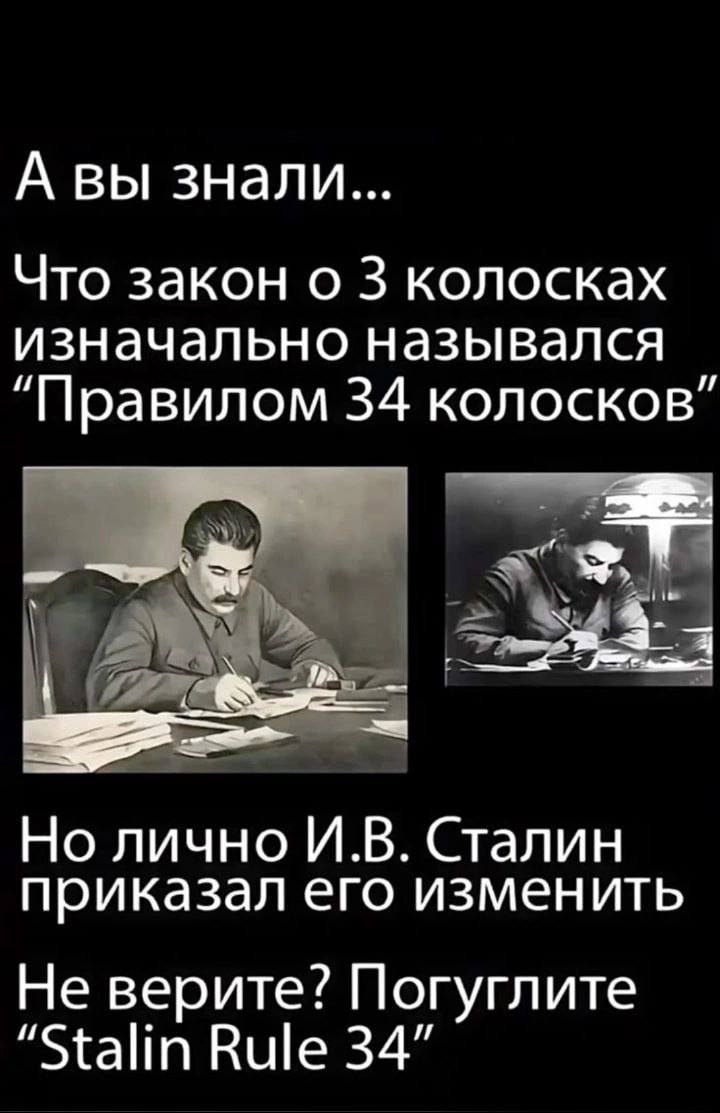 Stalin Rule 34 Мем про то, что закон о 3 колосках изначально назывался «Правилом 34 колосков», но Сталин приказал его изменить, с призывом погуглить «Stalin Rule 34»