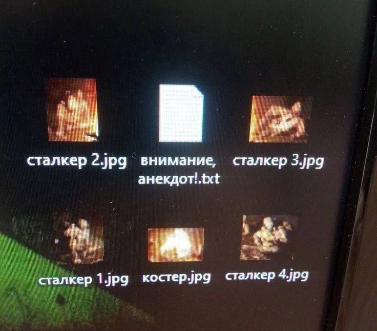 Сталкер, внимание, анекдот!.txt Мем с файлами "сталкер" и текстовым документом "внимание, анекдот!.txt", лежащими на рабочем столе компьютера.