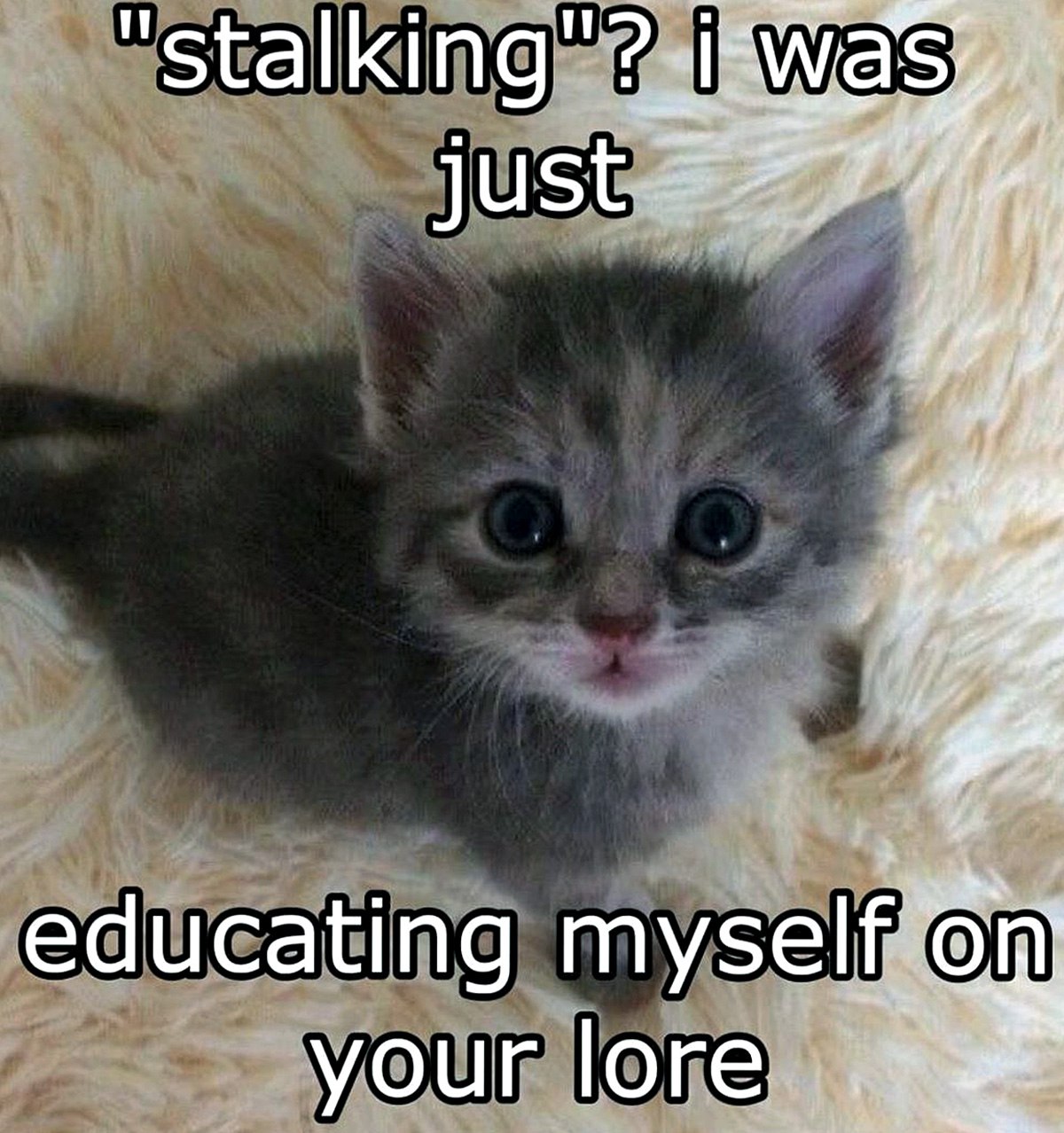 "Stalking"? I was just educating myself on your lore Котёнок "Stalking"? I was just educating myself on your lore