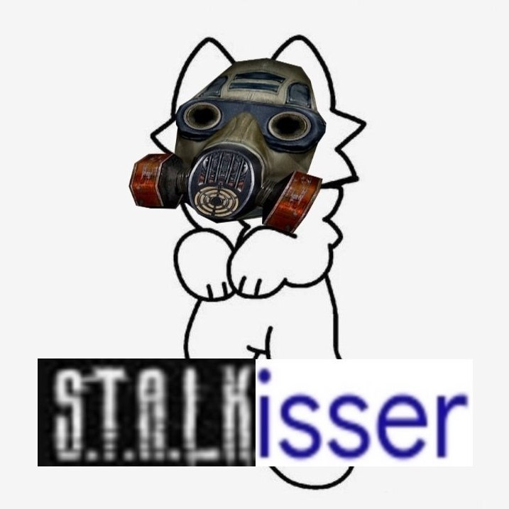 Stalkisser Мем с котом-мальчиком в противогазе из игры S.T.A.L.K.E.R. и надписью «Stalkisser»
