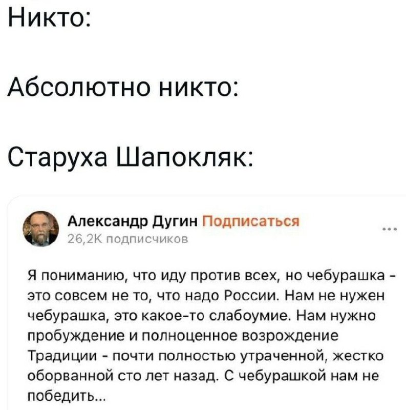 Старуха Шапокляк против Чебурашки Мем про то, как Старуха Шапокляк критикует Чебурашку