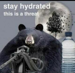 stay hydrated this is a threat Медведь с пулеметом и бутылкой воды на фоне полной луны и дерева с птицами