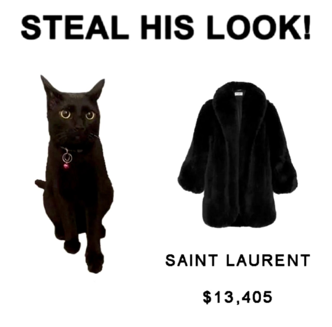 Steal his look! Черная кошка и шуба Saint Laurent Мем с черной кошкой и шубой Saint Laurent «Укради его образ»