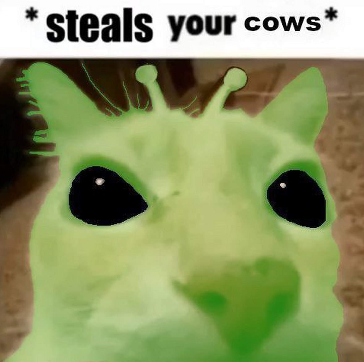 *Steals your cows* Зеленый кот инопланетянин *Steals your cows*
