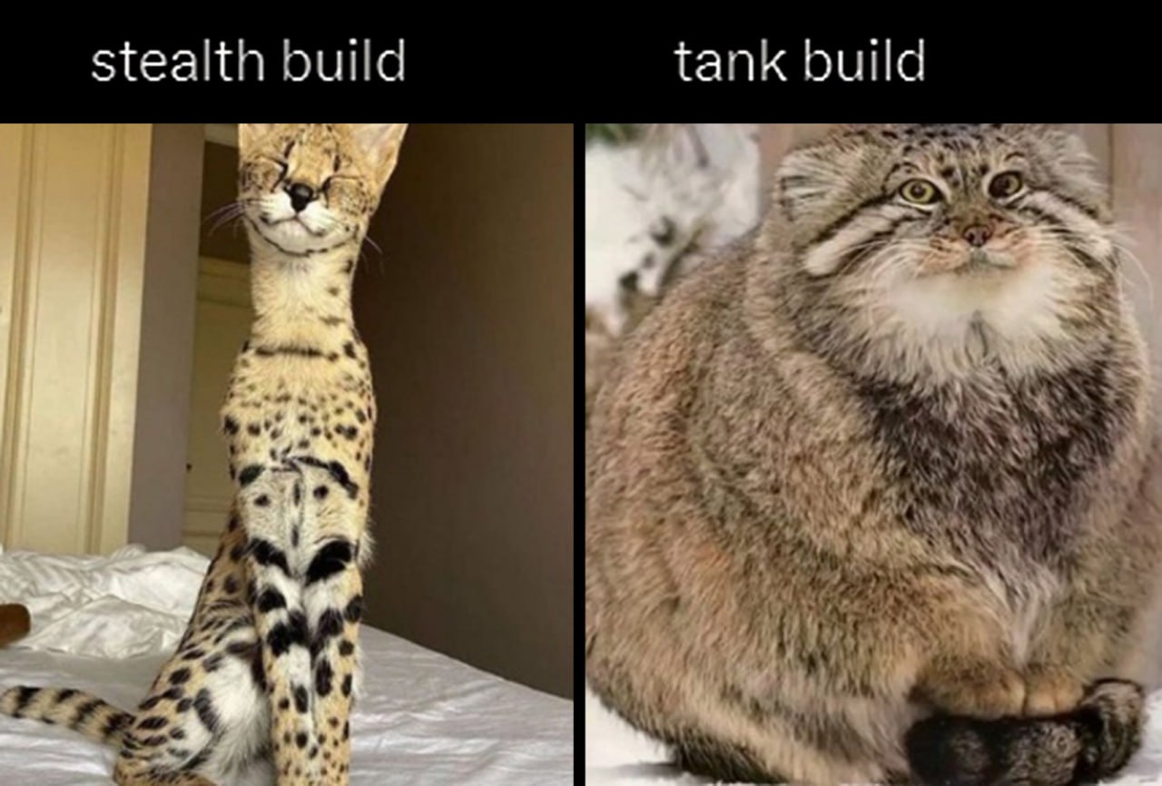 Stealth build tank build кот манул и сервал Мем, где сравниваются коты "stealth build" и "tank build" с сервалом и манулом соответственно.