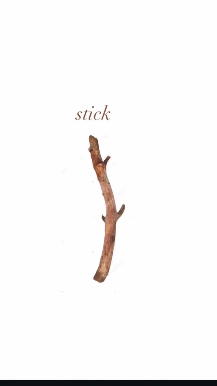 Stick Изображение палки с подписью "stick"