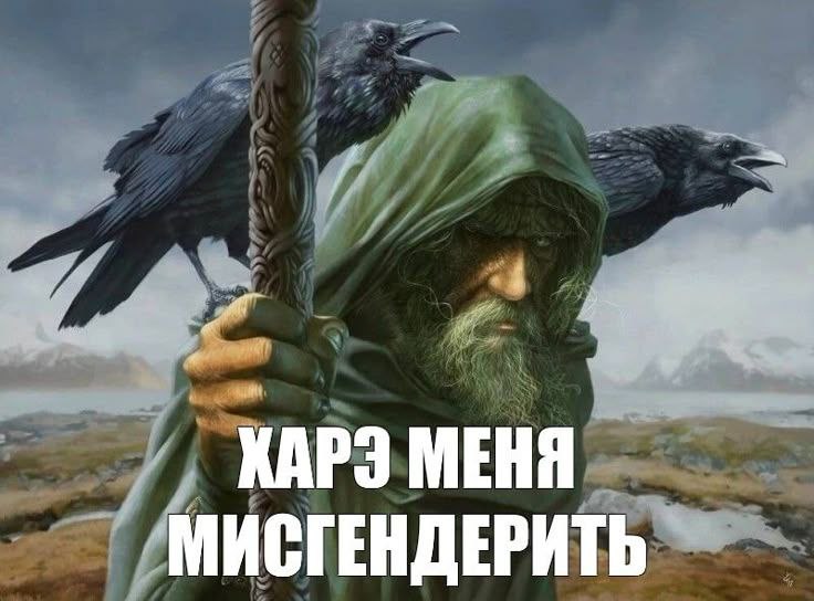 Харэ меня мисгендерить Мудрец с воронами и надписью «Харэ меня мисгендерить»