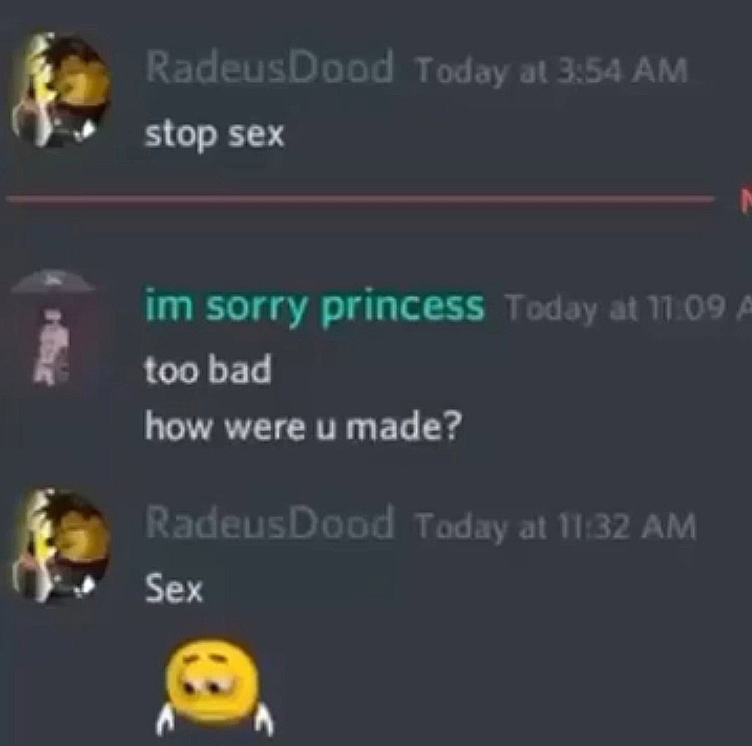Stop sex, im sorry princess, sex Мем с перепиской в Дискорде, где пользователь "RadeusDood" сначала пишет "stop sex", а затем в ответ на вопрос "how were u made?" отвечает "Sex" и присылает грустный эмодзи.