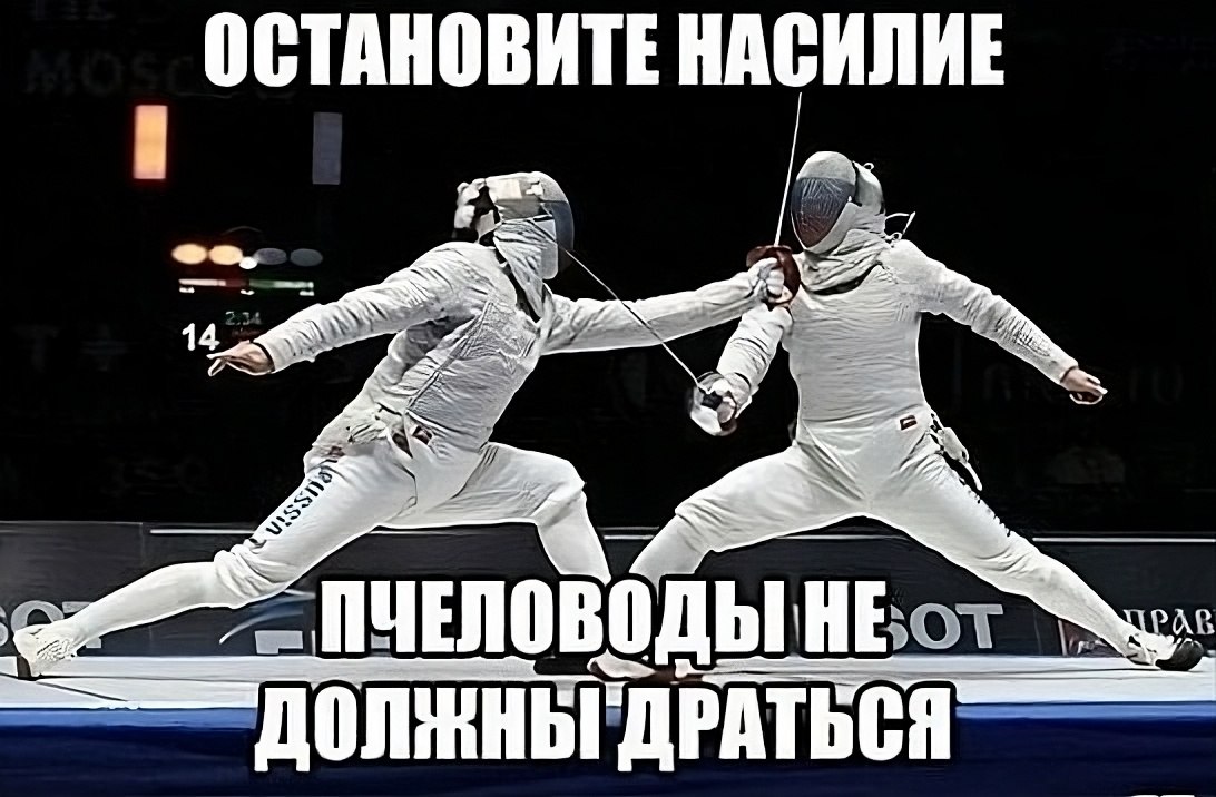 Пчеловоды не должны драться Остановите насилие, пчеловоды не должны драться
