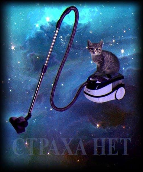 Кот на пылесосе в космосе со словами "СТРАХА НЕТ"