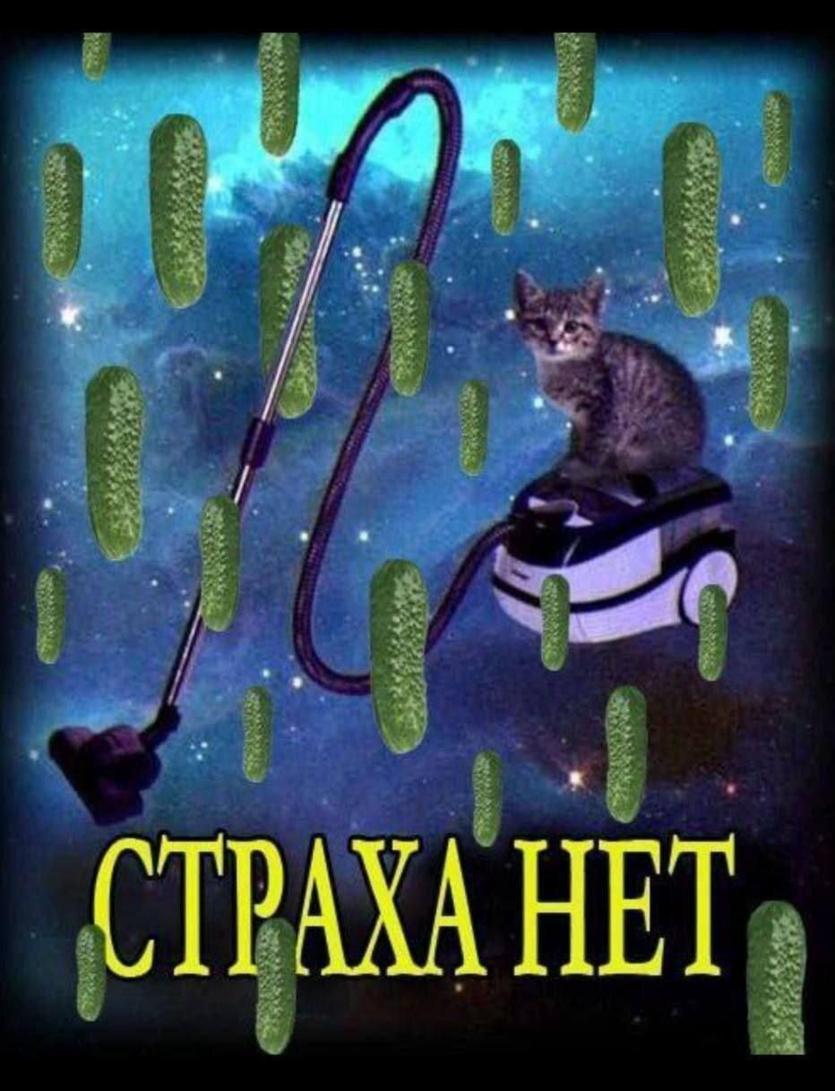 Кот на пылесосе Страха нет Мем с котом на пылесосе и летающими огурцами, на котором написано «Страха нет»