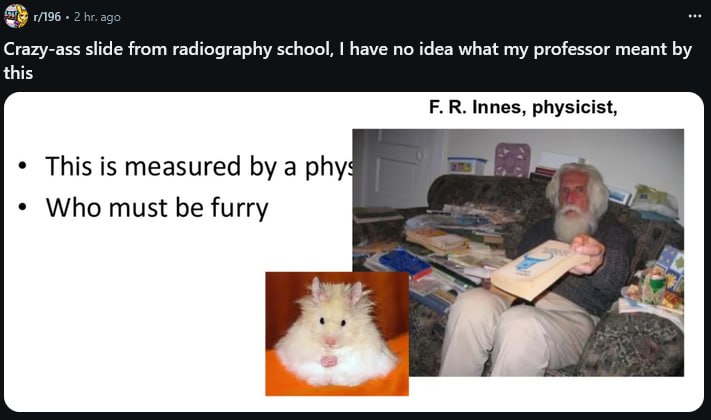 Непонятный слайд по радиографии с физиком, хомяком и фразой «Who must be furry»