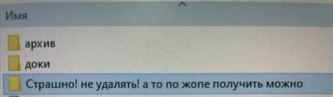 Страшно! Не удалять! А то по жопе получить можно Мем с папкой "Страшно! не удалять! а то по жопе получить можно" на компьютере.