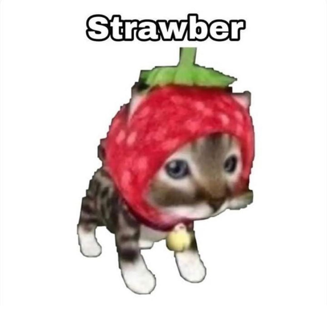 Котенок в шапочке клубники Милый котенок в костюме клубники с надписью "Strawber"