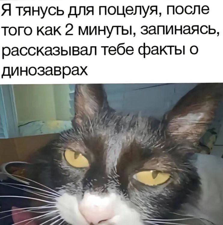 Я тянусь для поцелуя, после того как 2 минуты, запинаясь, рассказывал тебе факты о динозаврах Я тянусь для поцелуя, после того как две минуты, запинаясь, рассказывал тебе факты о динозаврах