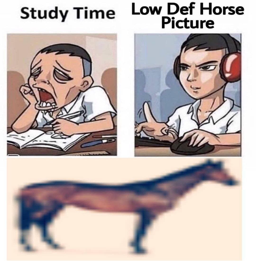 Study Time Low Def Horse Picture Мем, сравнивающий усталость от учебы с энтузиазмом при просмотре некачественного изображения лошади.