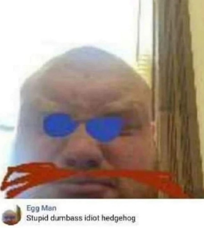 Stupid dumbass idiot hedgehog Мем с человеком, стилизованным под Доктора Эггмана с синими очками и красными усами, комментирующим «Stupid dumbass idiot hedgehog».