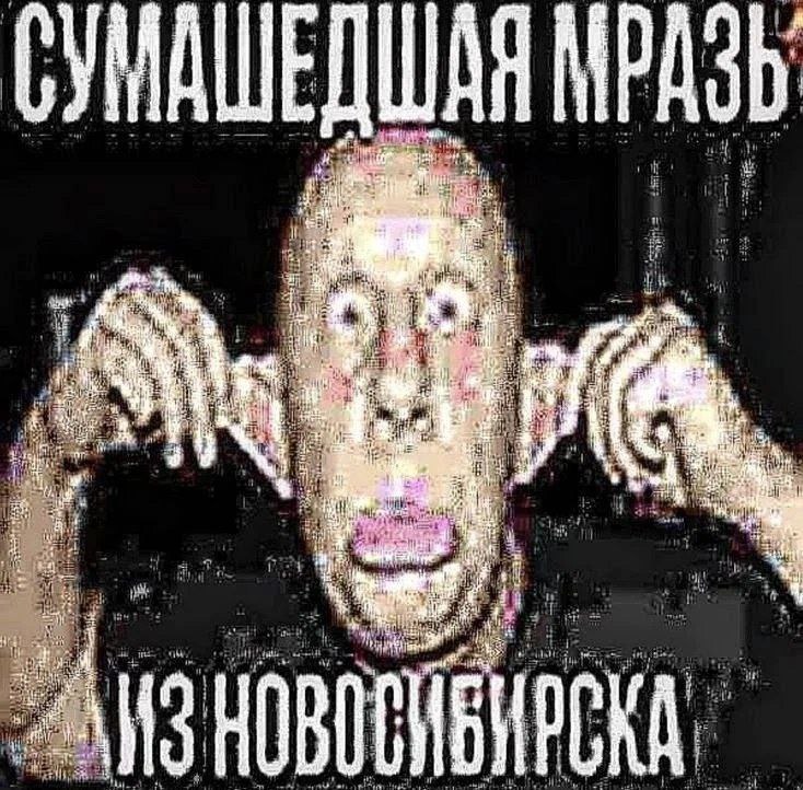 Сумасшедшая мразь из Новосибирска Мем с искаженным лицом, руками у ушей и надписью «Сумасшедшая мразь из Новосибирска»