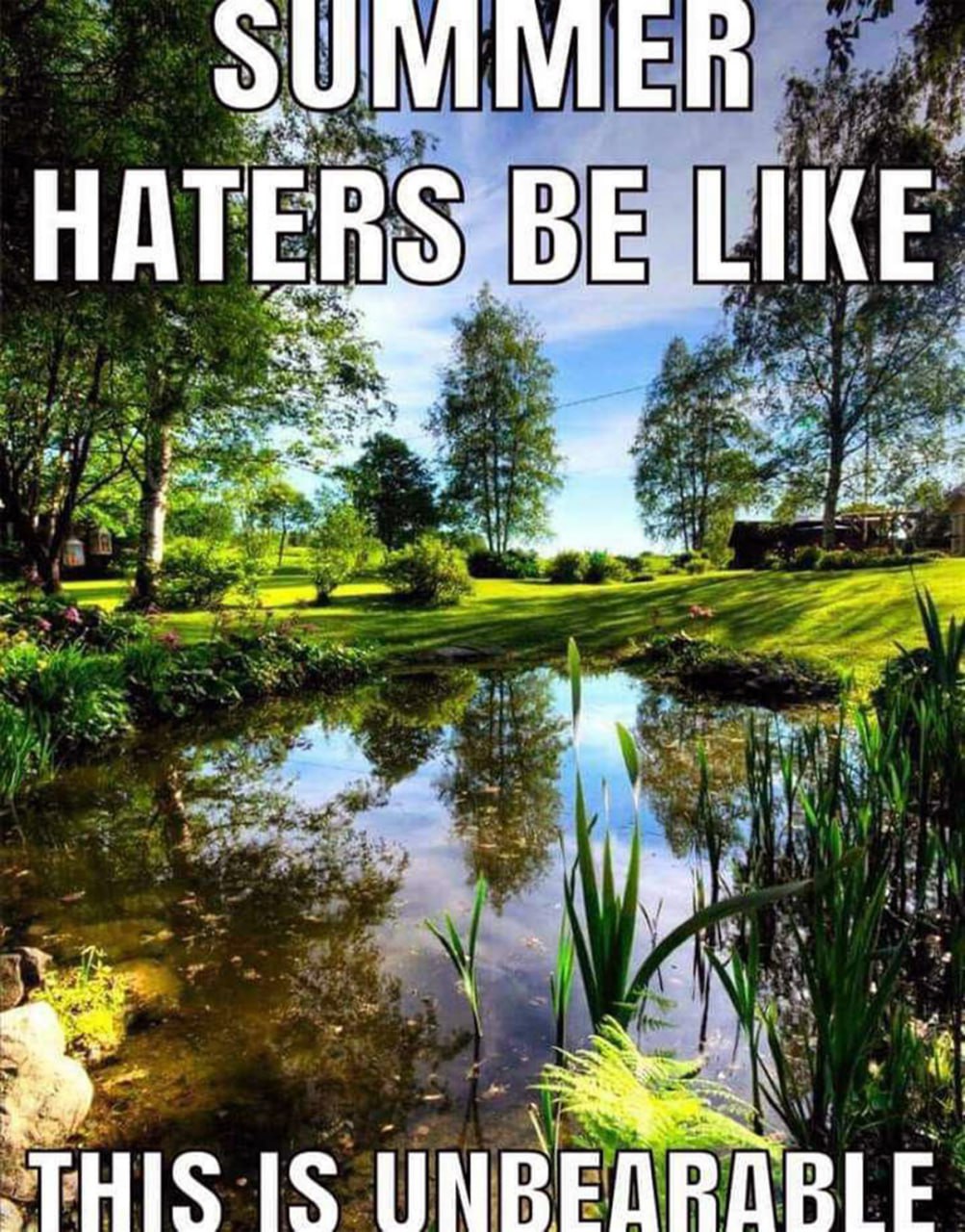 Summer haters be like this is unbearable Ненавистники лета такие: это невыносимо