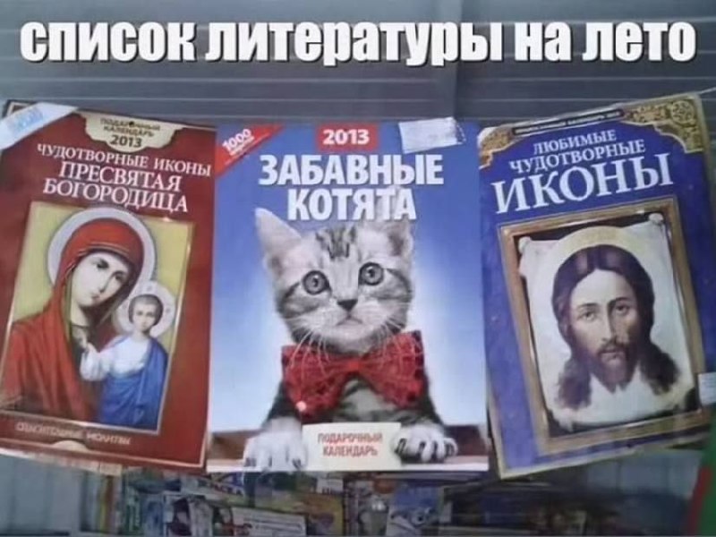 Список литературы на лето котята и иконы Список литературы на лето с книгами "Чудотворные иконы" и "Забавные котята"