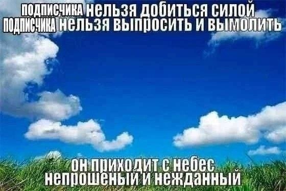 Надпись на фоне неба и травы: подсолнуха нельзя добиться силой, выпросить или вымолить — он приходит с небес непрошеный и нежданный.