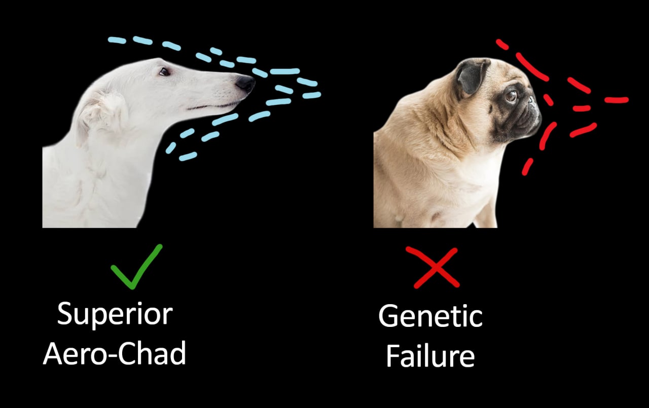 Superior Aero-Chad vs Genetic Failure Мем, сравнивающий борзую и мопса, демонстрирующий, как длинный нос борзой позволяет ей дышать свободно, в отличие от короткого носа мопса, из-за которого ему трудно дышать.