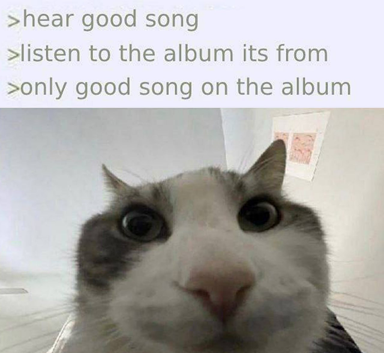 Удивленный кот hear good song Мем с котом, который смотрит прямо в камеру широко раскрытыми глазами, изображая удивление после того, как хорошая песня оказалась единственной достойной на целом альбоме