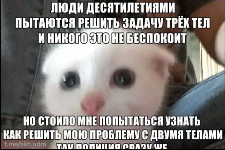 Удивлённый котёнок с надписью о двух телах Удивлённый котёнок смотрит вперёд на фоне надписи о том, как люди десятилетиями решают задачу трёх тел, а он не может решить проблему с двумя телами