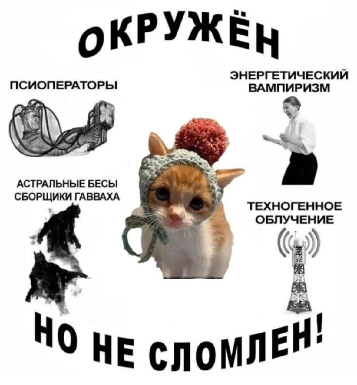 Грустный котёнок, окружённый псиоператорами, энергетическим вампиризмом, астральными бесами и техногенным облучением, но не сломленный.