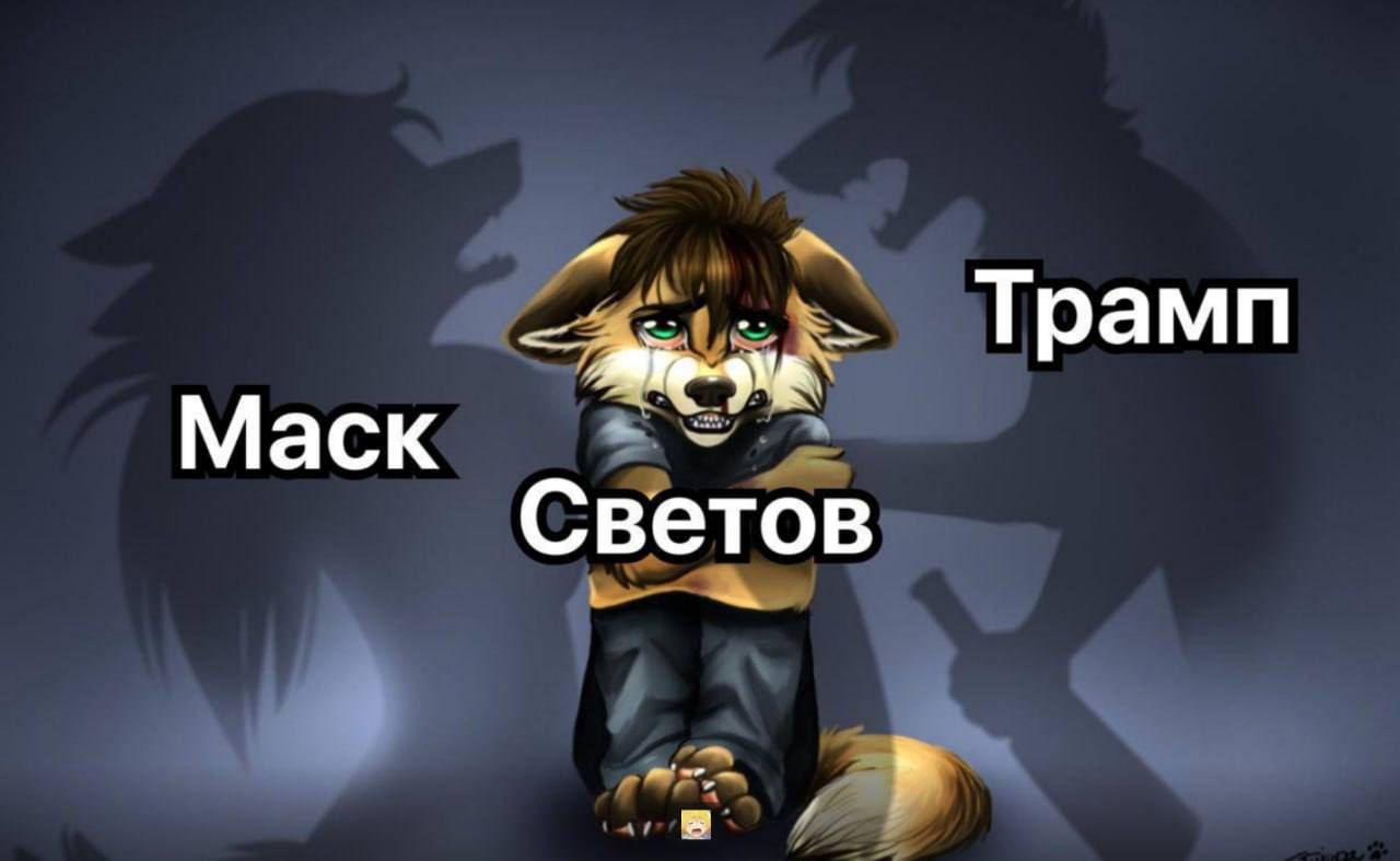 Светов Маск Трамп Фурри волк Светов между Тенями Маска и Трампа