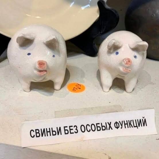 Две керамические свинки на витрине с подписью «Свиньи без особых функций».