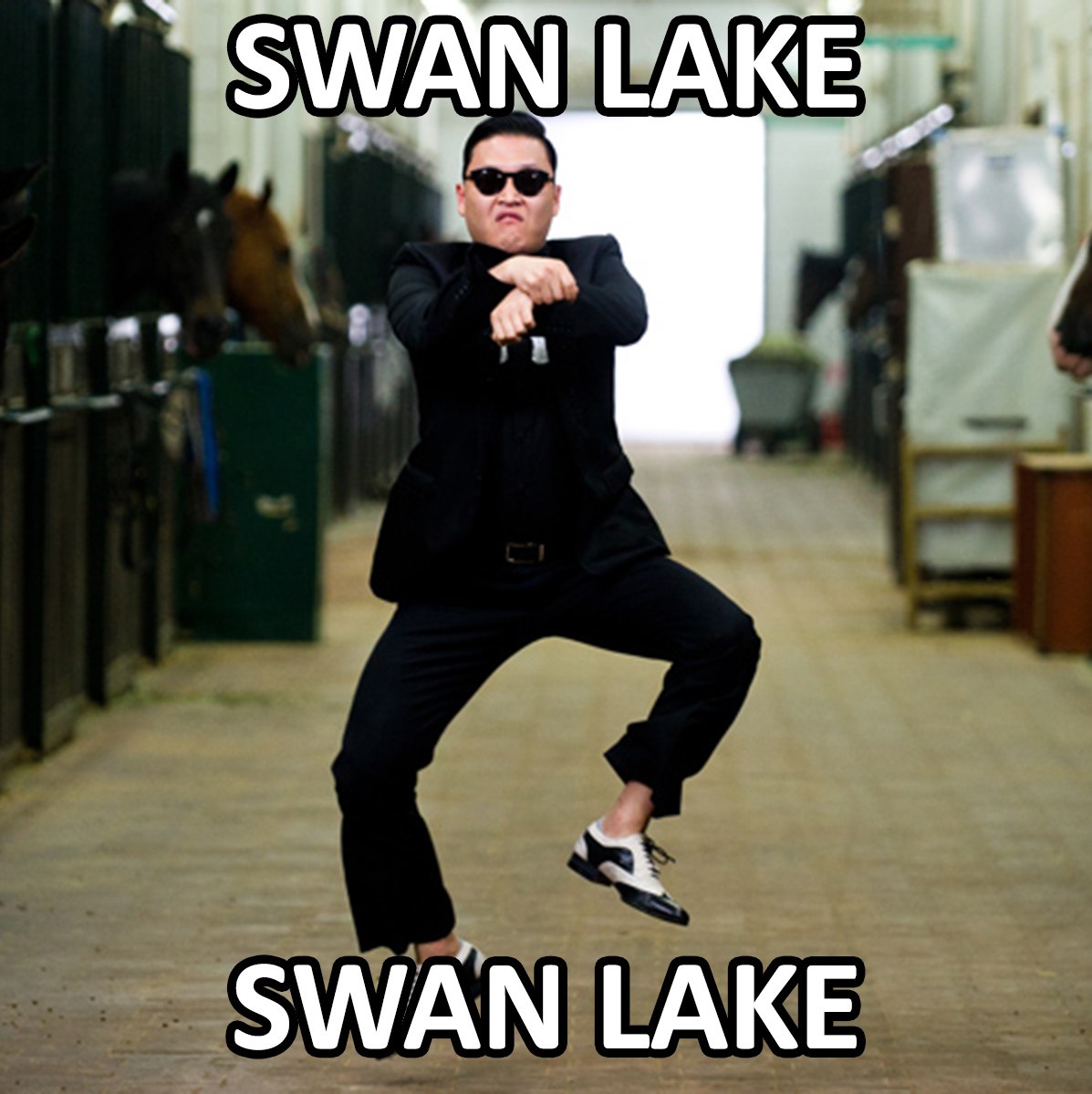 Swan Lake Gangnam Style PSY танцует "Gangnam Style" в конюшне с надписью "Лебединое озеро"