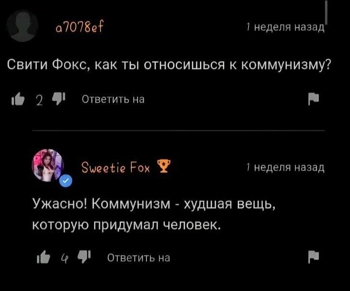 Скриншот комментариев, где Свити Фокс отвечает, что коммунизм — худшая вещь, которую придумал человек.