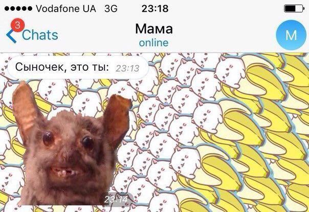 Сыночек, это ты Мем со странным существом в чате с мамой и надписью «Сыночек, это ты»