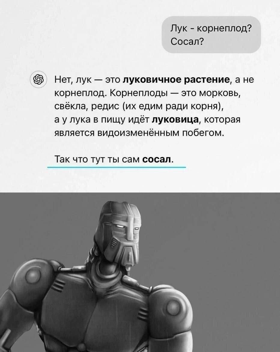 Так что тут ты сам сосал Мем, где человек спрашивает бота, является ли лук корнеплодом, а бот отвечает, что лук — это луковичное растение, и корнеплодом не является, после чего добавляет: «Так что тут ты сам сосал».