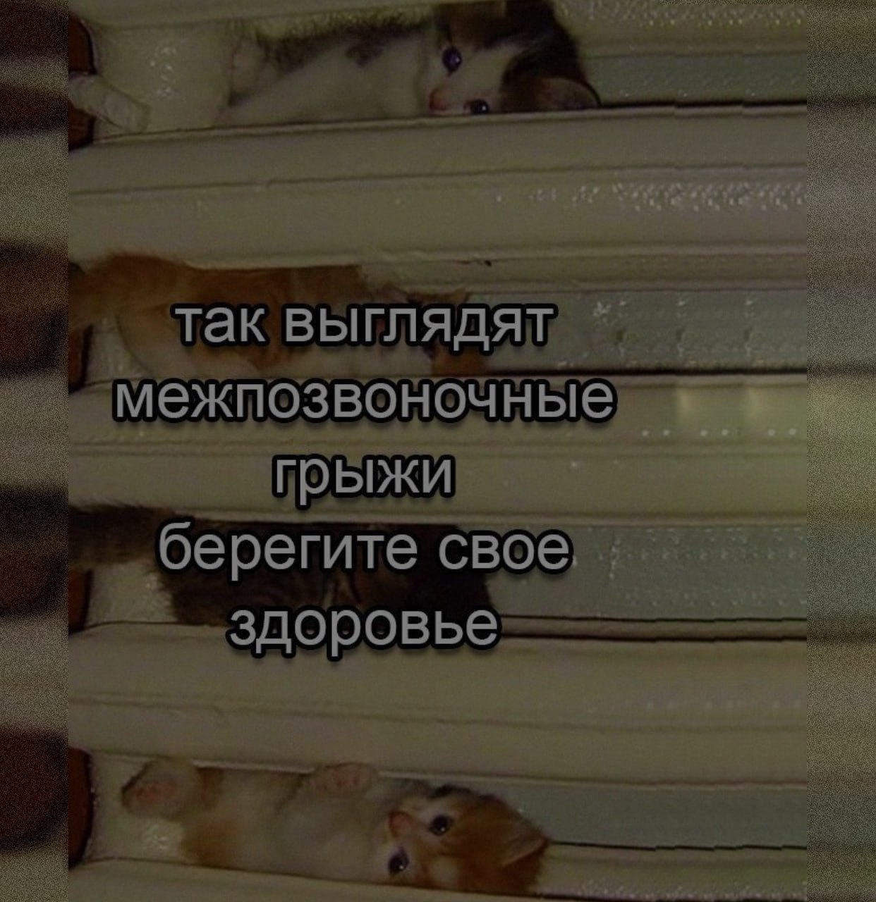 Межпозвоночные грыжи Вот как выглядят межпозвоночные грыжи, берегите свое здоровье