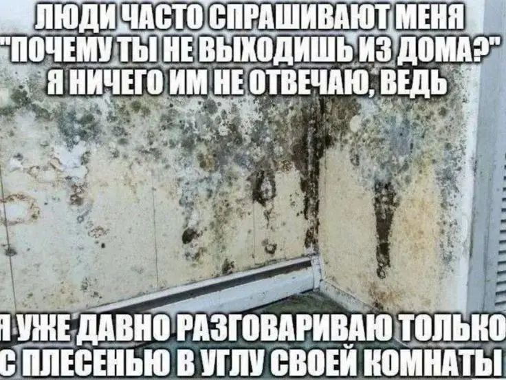 Я разговариваю с плесенью в углу своей комнаты Мем с изображением угла комнаты, сильно покрытого черной плесенью, и текстом о том, как кто-то не выходит из дома и разговаривает с плесенью.